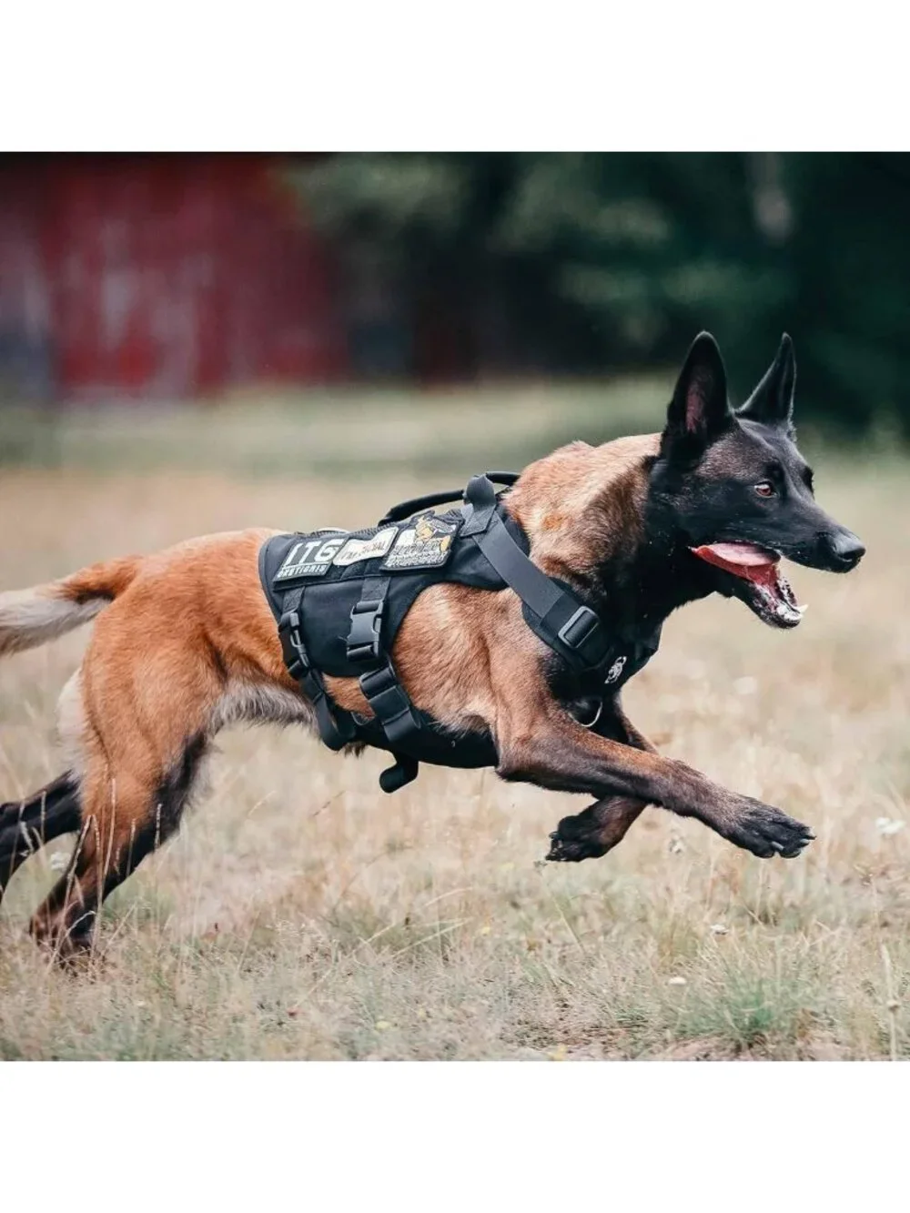 Breathable No-Pull Tactical Dog Harness for Medium Dogs - Military Molle Vest